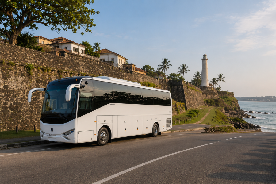 Large Coach – Premium Transportation for Large Groups