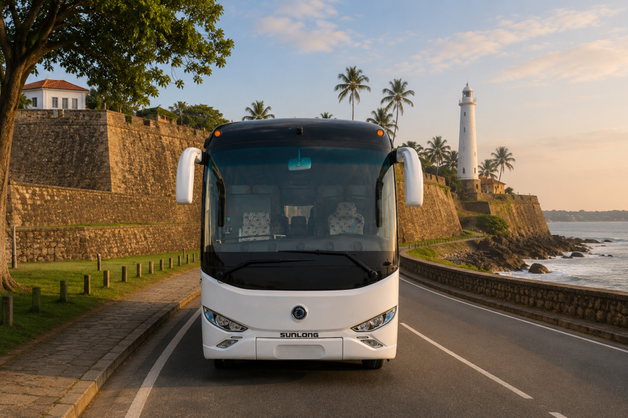 Large Coach – Premium Transportation for Large Groups