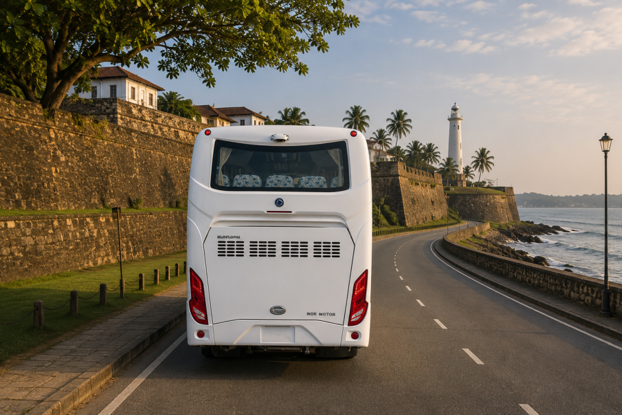 Large Coach – Premium Transportation for Large Groups
