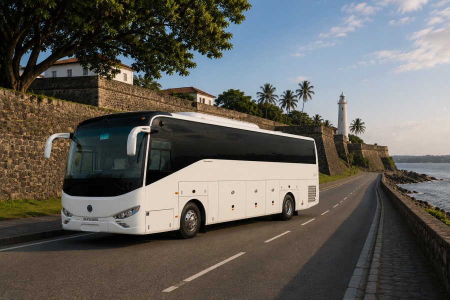 Large Coach – Premium Transportation for Large Groups